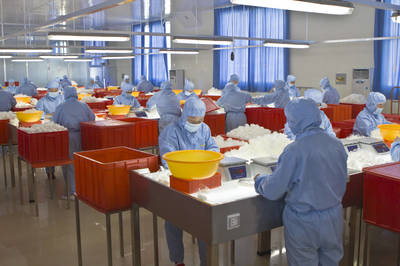 招远重点项目新春跑出“加速度”，保健食品生产迎新篇章