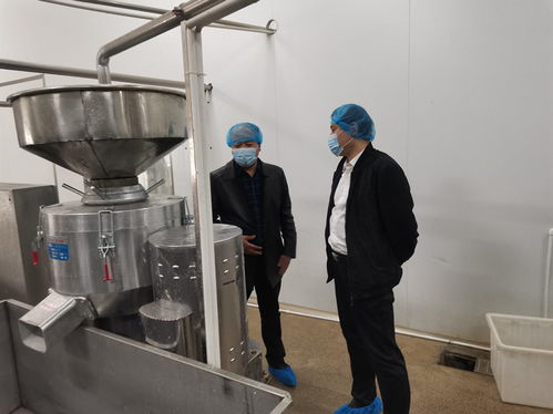 筑牢食品安全防线 市市场监管局深入我县开展食品生产专项督导检查