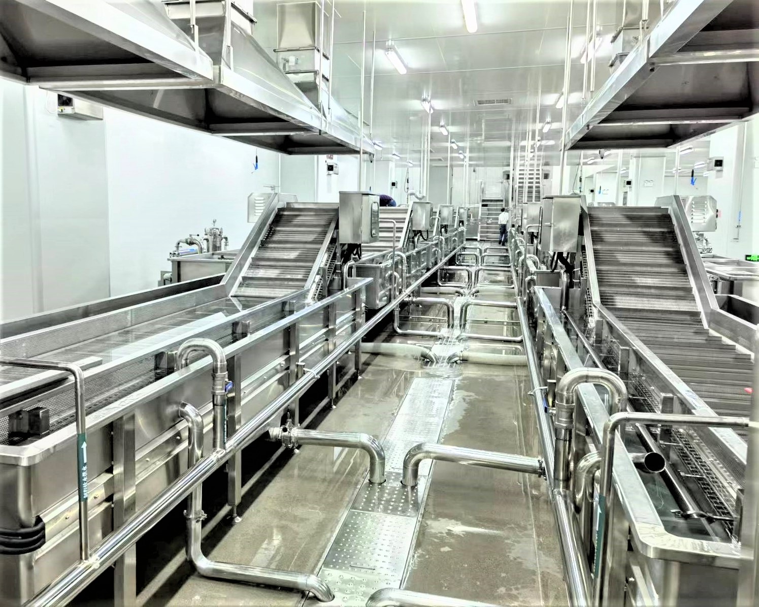 速冻蔬菜生产线专用机械设备 现代食品生产的高效引擎