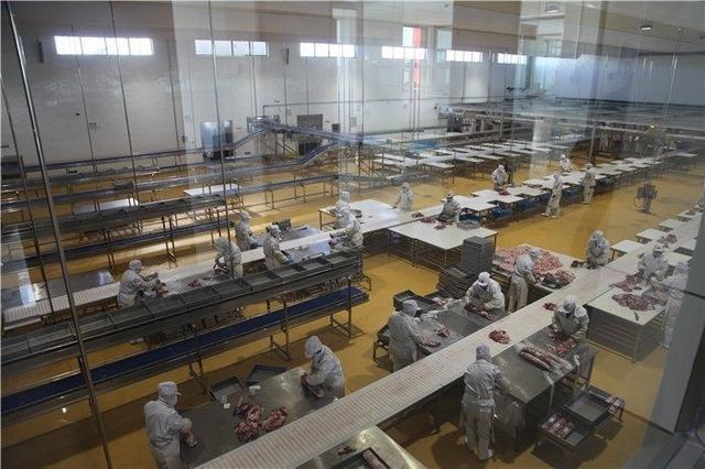 从牧场到餐桌 额尔敦羊业如何打造安全食品生产供应链