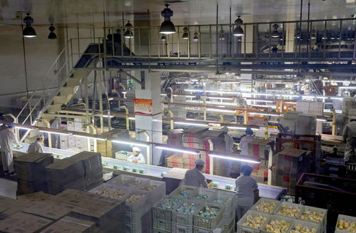 河北定兴全力推动食品产业转型升级 保健食品生产